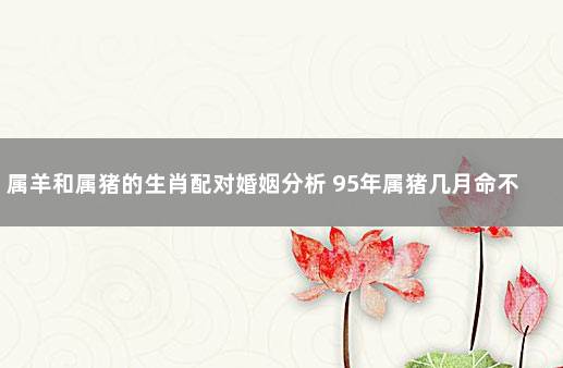 1995年出生的猪女，它们的婚姻有什么要注意的