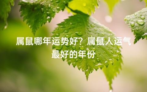 风水堂：1984年属鼠的人