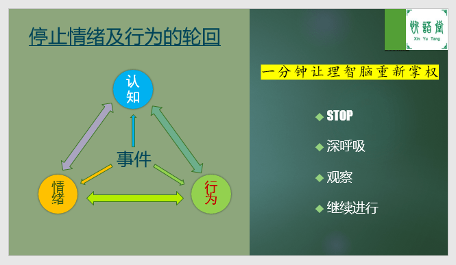 2016年的日复一日，我想不一定是二月小喵喵