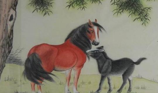 马年出生的人最适合什么生肖？