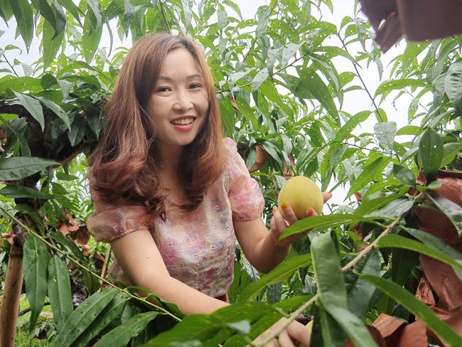梦见摘桃子是什么意思？