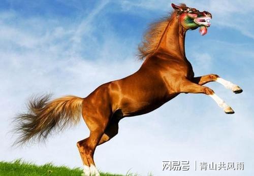 2023年生肖马星座运势 属马人全年每月运势分析！  ！