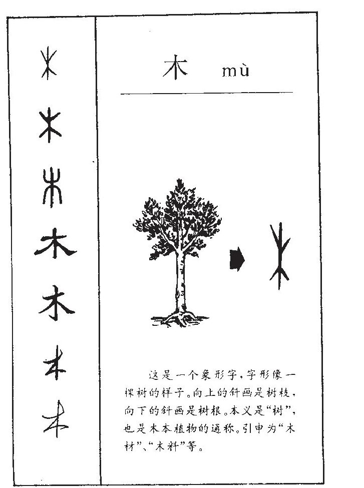 五行补木的十八种方法 如何分析五行缺木