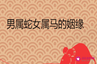 属蛇男生的生肖配对表