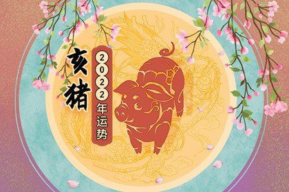 猪年哪一年有好运？ 属猪人什么年份最好？