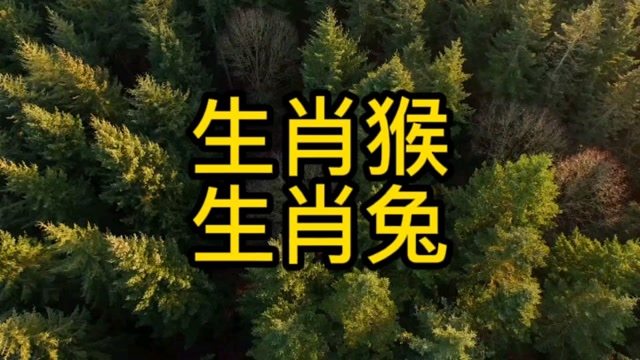如果你是龙凤三生肖，那么你一定会享受到生儿育女的福气。