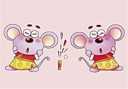 有趣的十二生肖配对：鼠年出生的人最适合什么类型的伴侣？