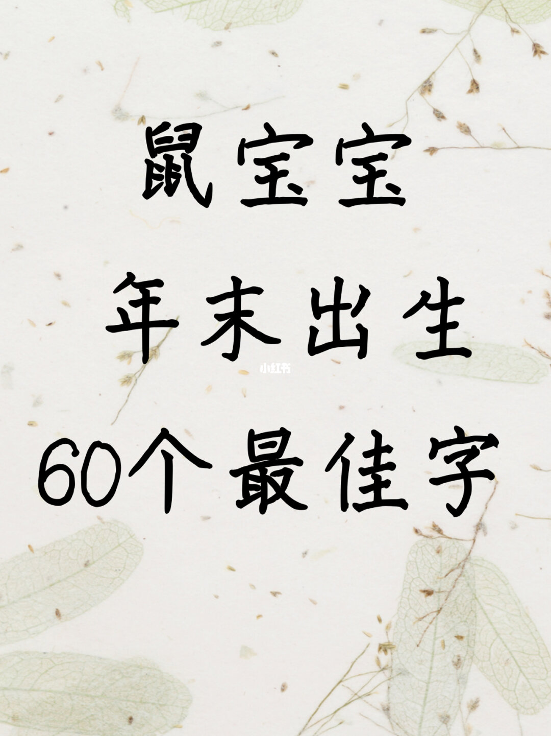 王姓鼠年宝宝名字大全