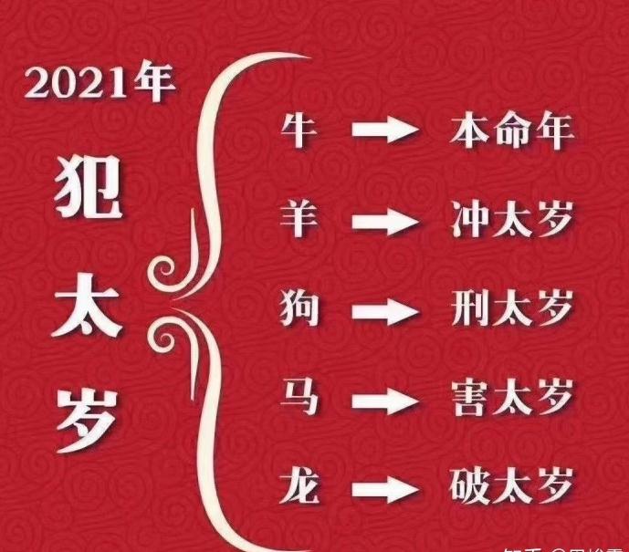 大师详解：属狗人2023年全年运势及每月运势