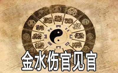 金水伤官，喜见官。 金水伤官。 会见官员是一种莫大的荣幸。