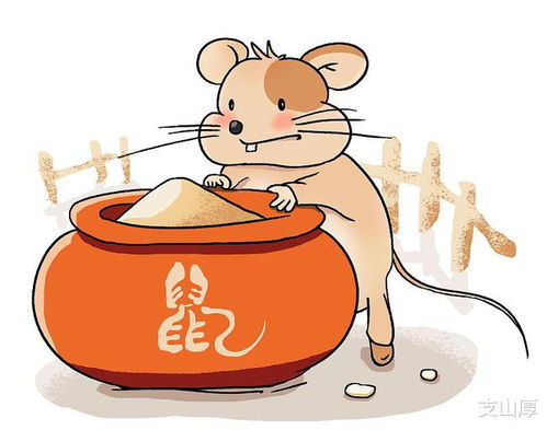 12生肖2023年运势，麦玲玲2023年运势详解
