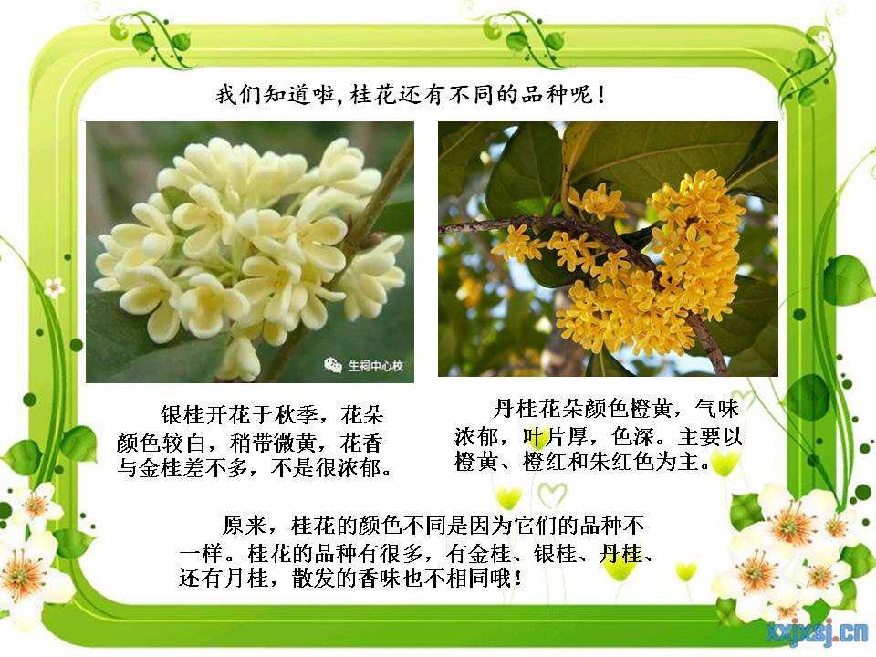 羊年出生的女婴起什么名字好呢？
