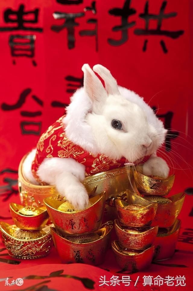 属鼠生肖相配图