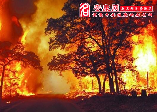 b型血女人的性格特点 B型血女生性格解析
