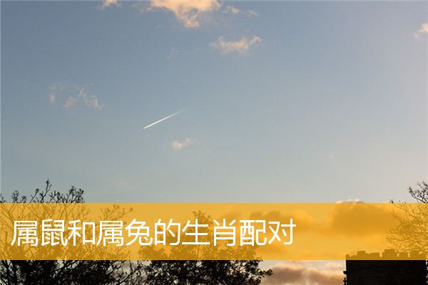 男女生肖配对表（完整的男女生肖配对表）