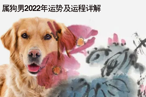 1994年属狗人未来5年的运势。  2025年，属狗的人财运多，喜事多。