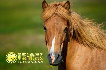 属猴女和属马男如何结婚。 他们性格相似，也有很多冲突。