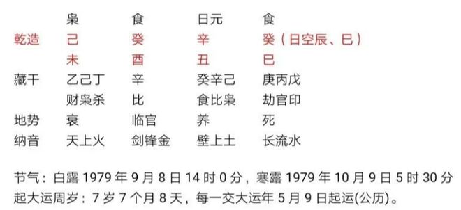 乙巳日出生的人命运如何？