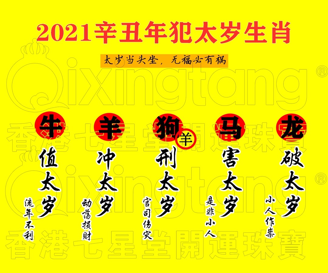 2023年十二生肖运势！ 运气最好的人是...