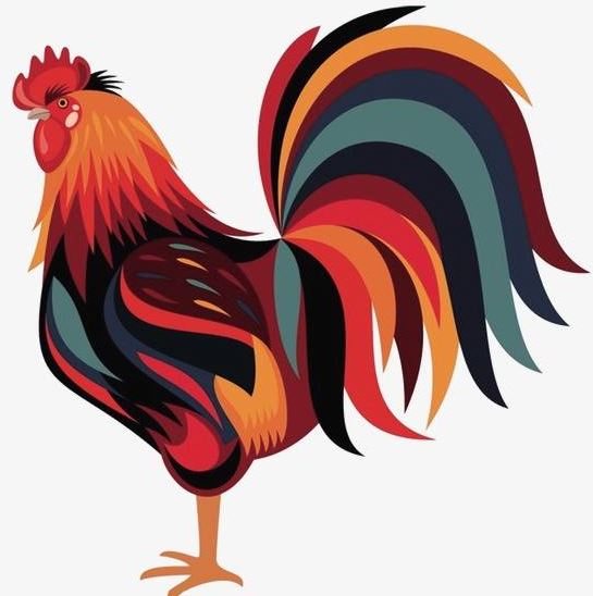 与生肖鸡的最佳伴侣是谁？婚姻长久，事业蒸蒸日上。 广播文章