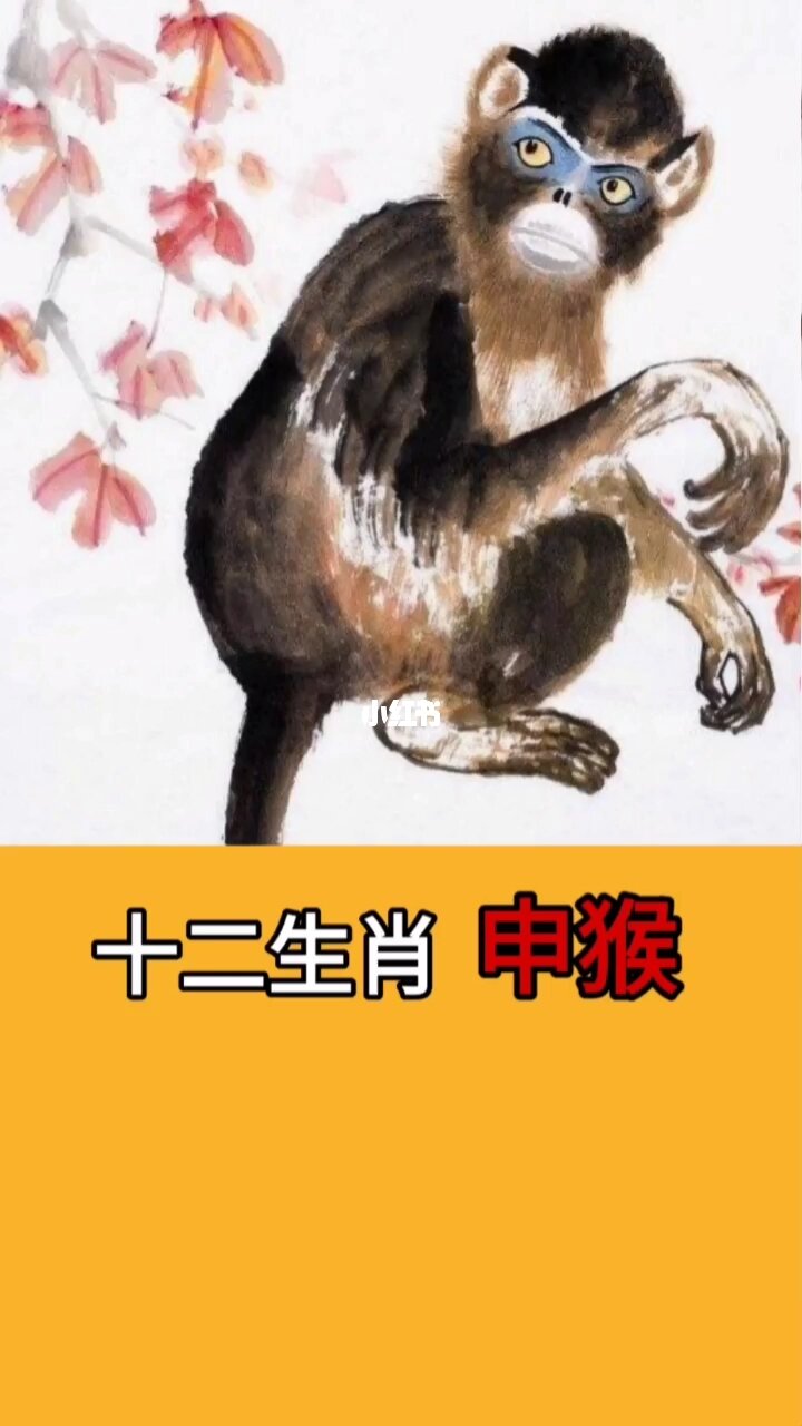 属猴的人与哪个生肖最配？