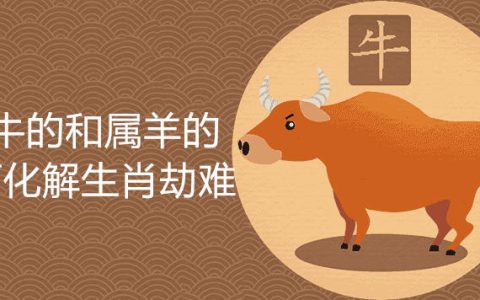 公牛与母羊的婚姻