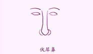 教你看脸：女人鼻子大