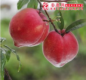 b型血女人的性格特点 B型血女生性格解析