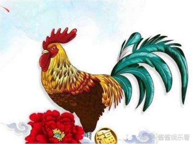 生肖鸡2023年上半年的每月运势并不乐观。