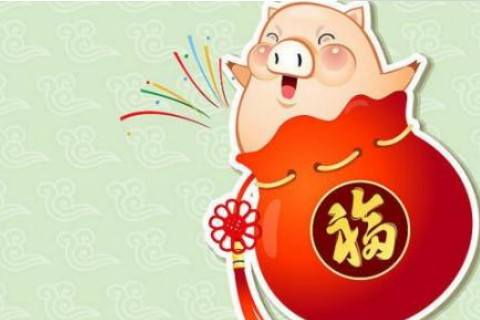 属猪的人哪一年结婚最好？ 属猪的人哪一年结婚最好？