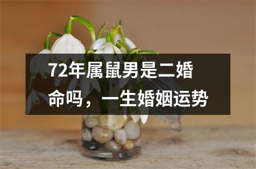 男女生肖婚姻配对表 生肖男女婚姻配对表
