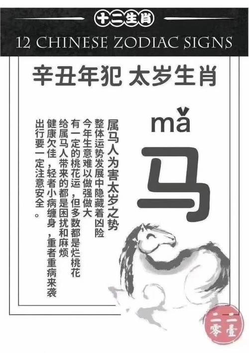 十二生肖2024年运势,十二生肖2024年运势详解