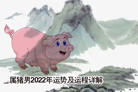生肖猪2020年运势大全