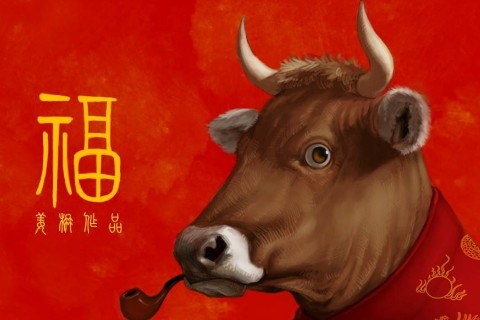 公狗与母牛的婚姻需要解决