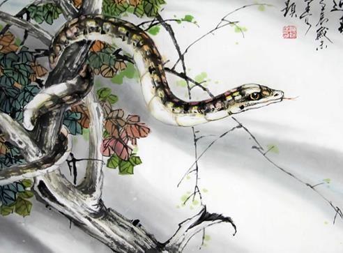 属蛇人的最佳姻缘，属蛇人应该找什么生肖的老婆呢？