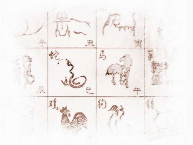 12生肖2024年运势详解？属鸡人的整体运势会变差。