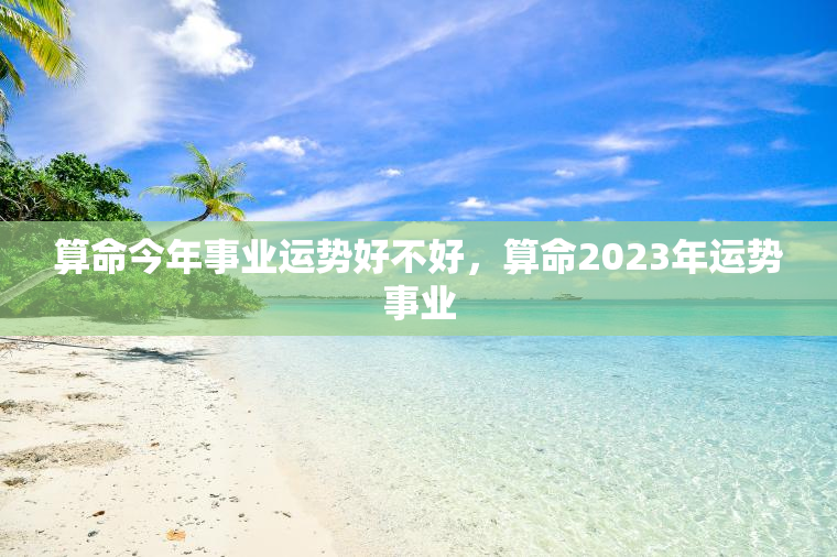 属牛人2023年整体运势
