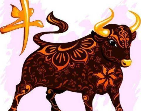 十二生肖各时相配，如何根据出生年月日查五行