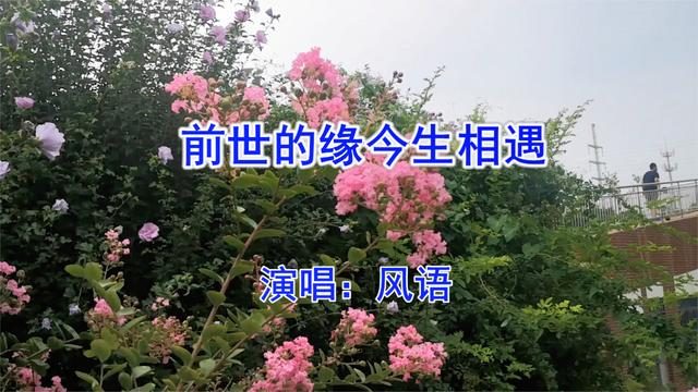 今生遇见前世的缘分
