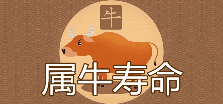 提前把握：生肖牛2023年下半年运势