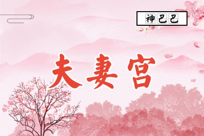 紫微斗数看老婆的颜值和类型