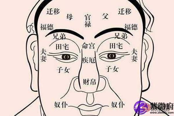 紫微斗数告诉你伴侣的性格，紫微星盘决定你伴侣的外貌类型。