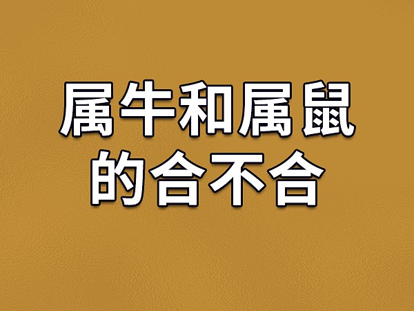 牛年出生的女性最适合哪些生肖呢？