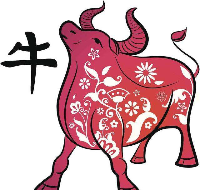 属牛女的最佳婚姻