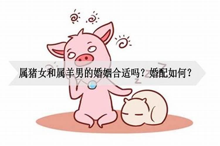 1991年属羊的女人和95年属猪的男人可以结婚吗？