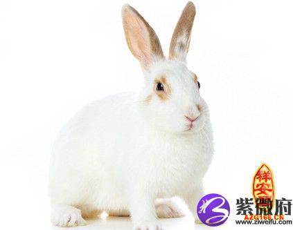 87属兔与94属狗结婚是禁忌。  1994年出生的女人属狗和1987年出生的男人属兔合适吗？