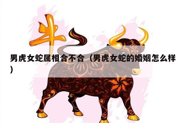 属虎的男人配属蛇的女人好吗？