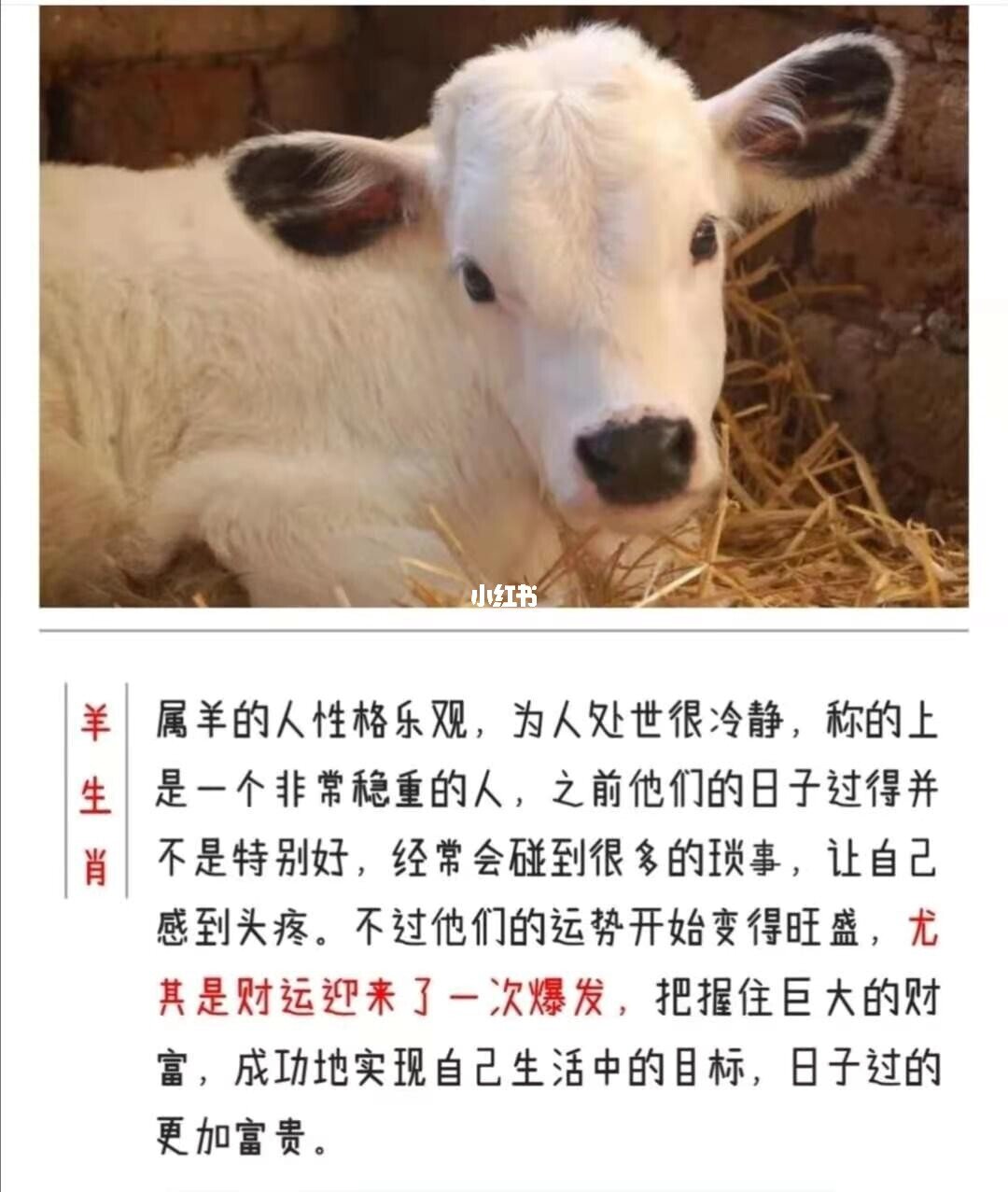 生肖羊与敌人：无数人脉的奇妙联结，让你大开眼界！