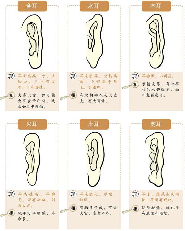 马伊琍相相原著，专家们看相算命的顺口溜