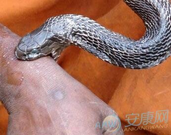 b型血女人的性格特点 B型血女生性格解析